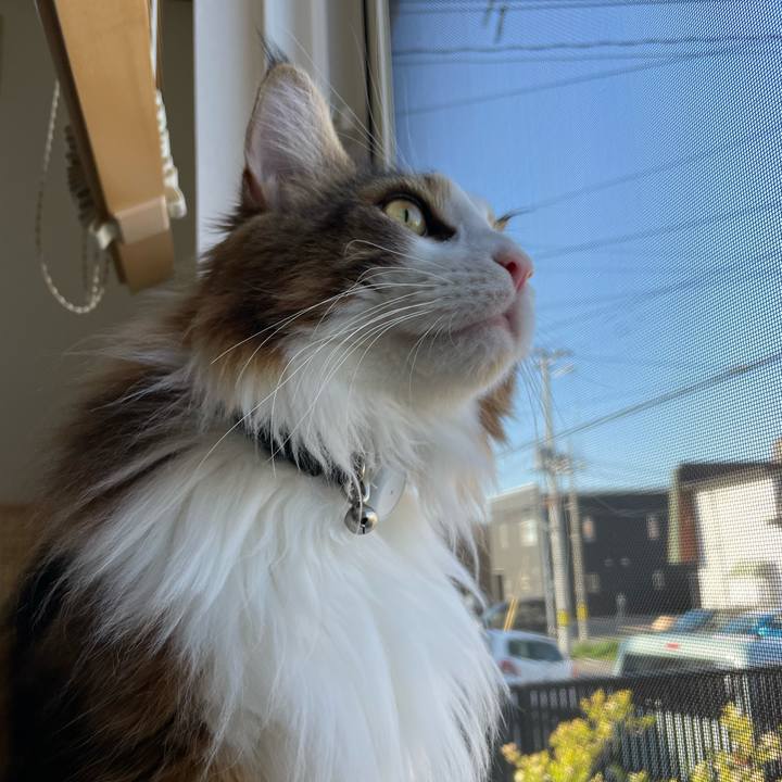 F4689d30 9cbe 4286 8ebd b709920abd90 1652218993793