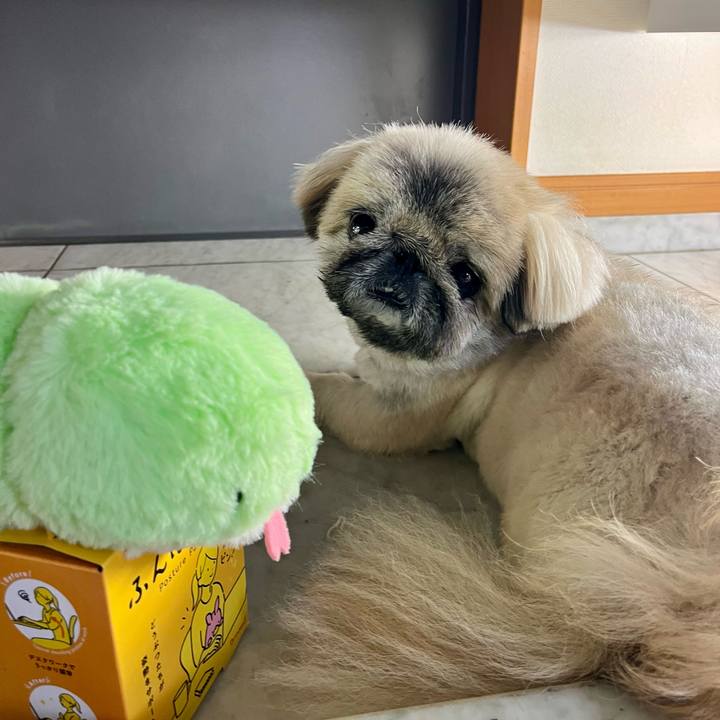 F468b615 ba61 44e1 801b 192f42541063 1746675993986