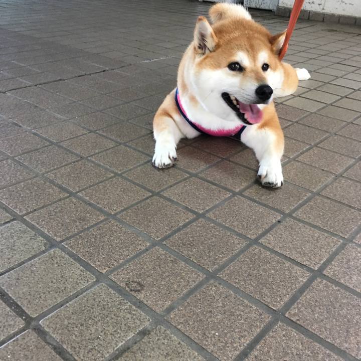 F468b7b3 cb1a 4aa5 9dcc 1ceb0110dc05 1564527309202