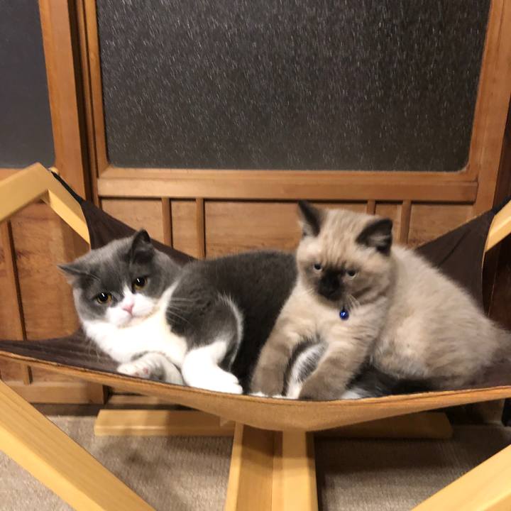 F468c828 ff49 45fa 9fb0 8bdf068e111e 1587695088259