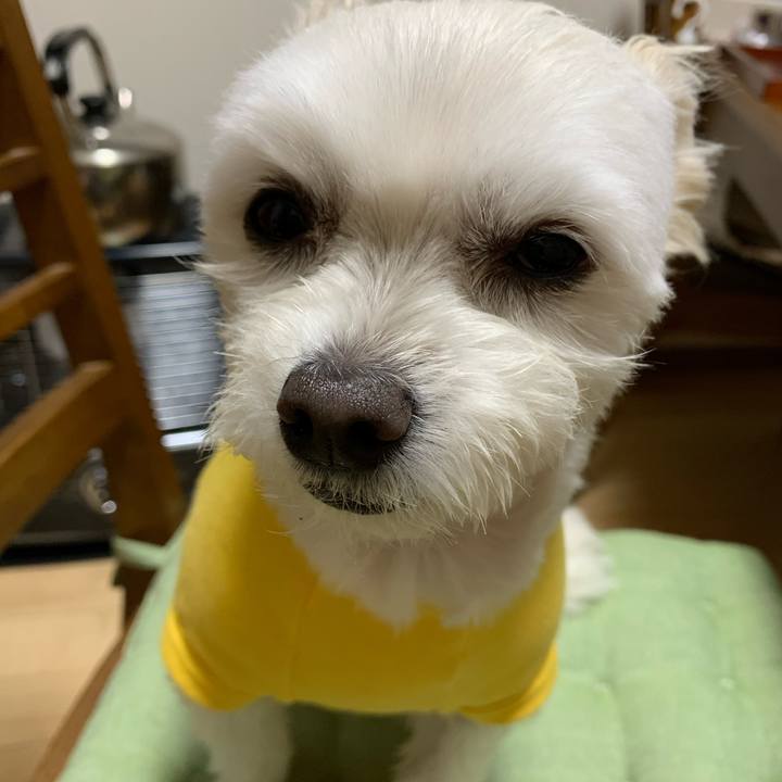 F468cd0b 485f 4d41 b2c5 36f4f40579ee 1578661426031