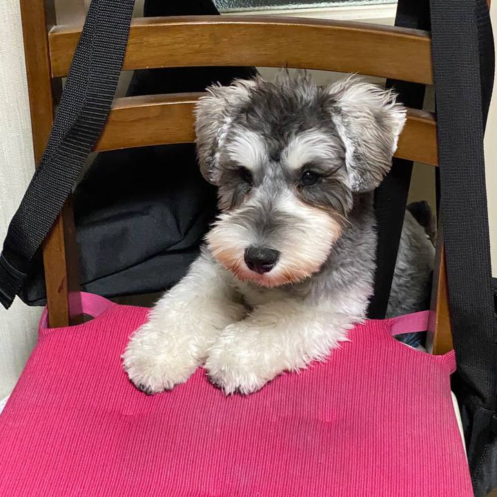 F46909e5 3a4f 4741 abaf 1becf273ff38 1574866758464