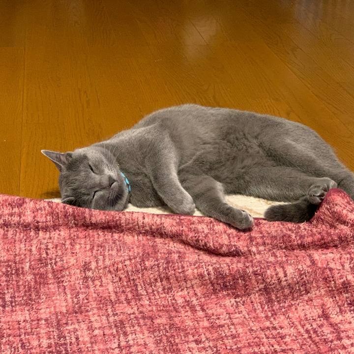 F4694bd0 ed57 4218 910c 88e48f3ecada 1582103912742