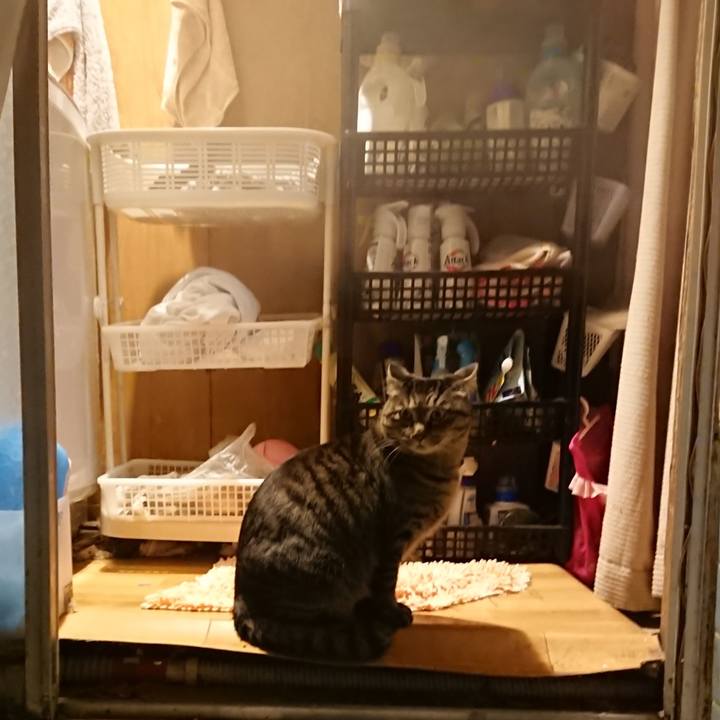 F4695c72 fb6d 489f bfdb a4624b79da54 1643622505473