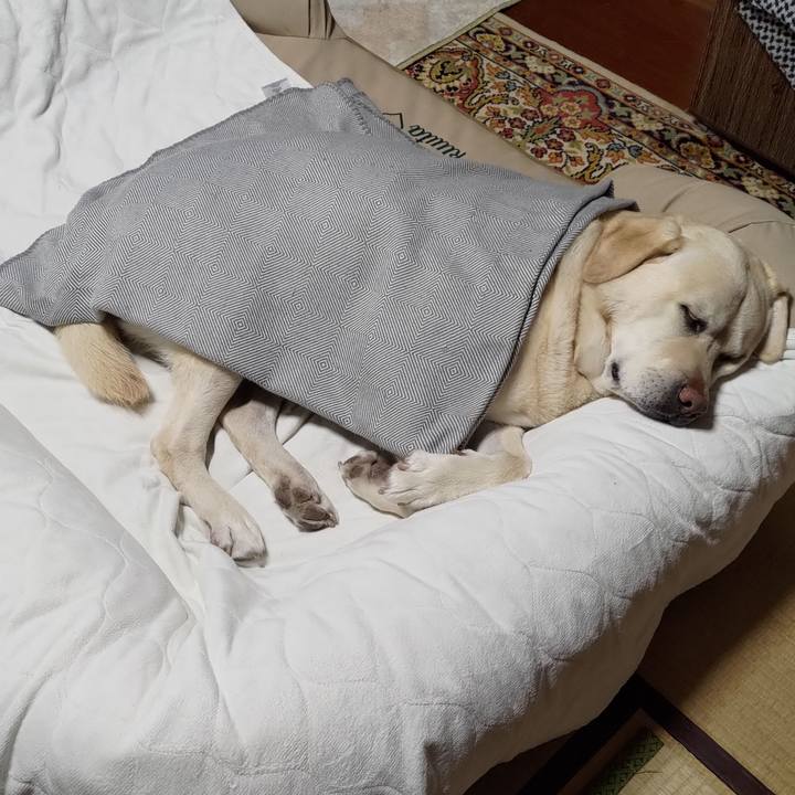 F4697a37 4e12 4a03 9763 daeca585a3ad 1674394006123