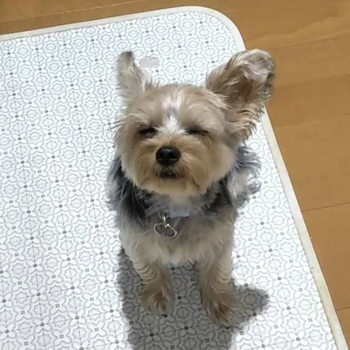 F4698768 b05e 46f6 8770 4c26f59bf85f 1560219722825