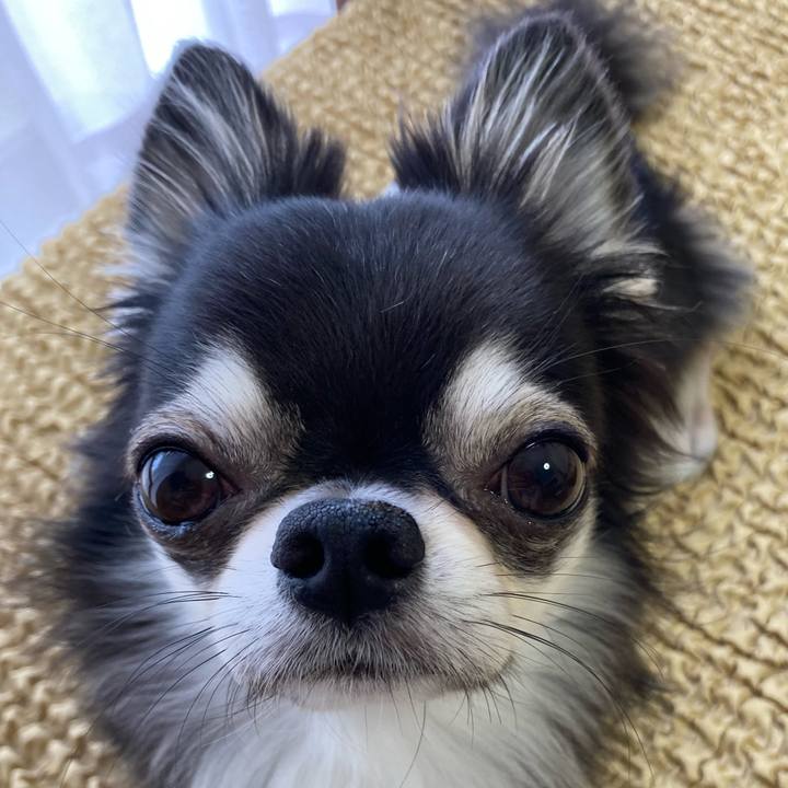 F4698bf2 8dac 4ed2 9d50 2ba949e86d2e 1653176245256