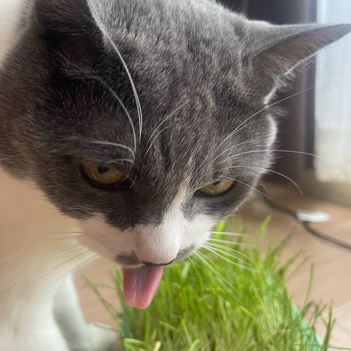 F46999e4 7aa5 48dc a53b eb0b311e6ddf 1685932166503