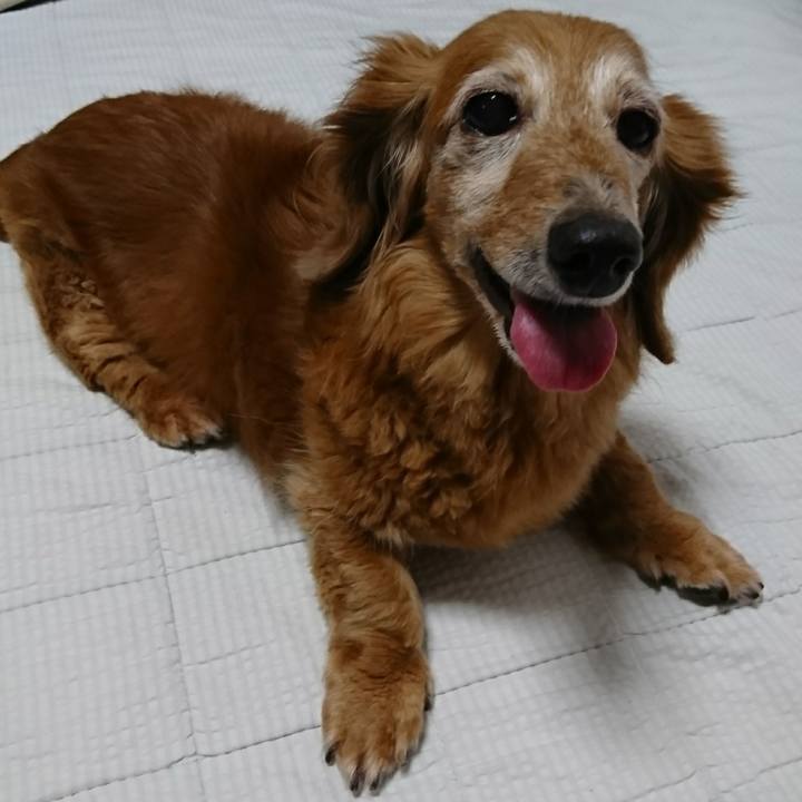 F469ac03 77a7 4768 9698 7fecfe88e130 1534875746250