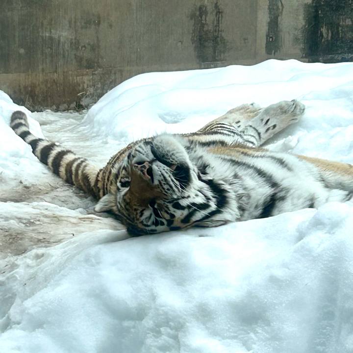 F469e0c2 fbe0 4018 ac86 b8b4e2230914 1773530447241