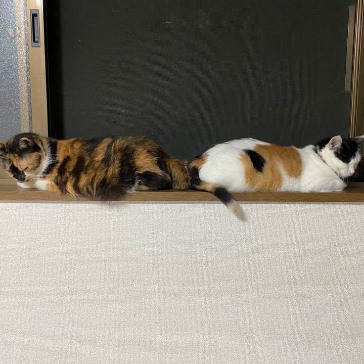 F46a27f8 129f 4b80 86d5 6dce20710edd 1659014317683