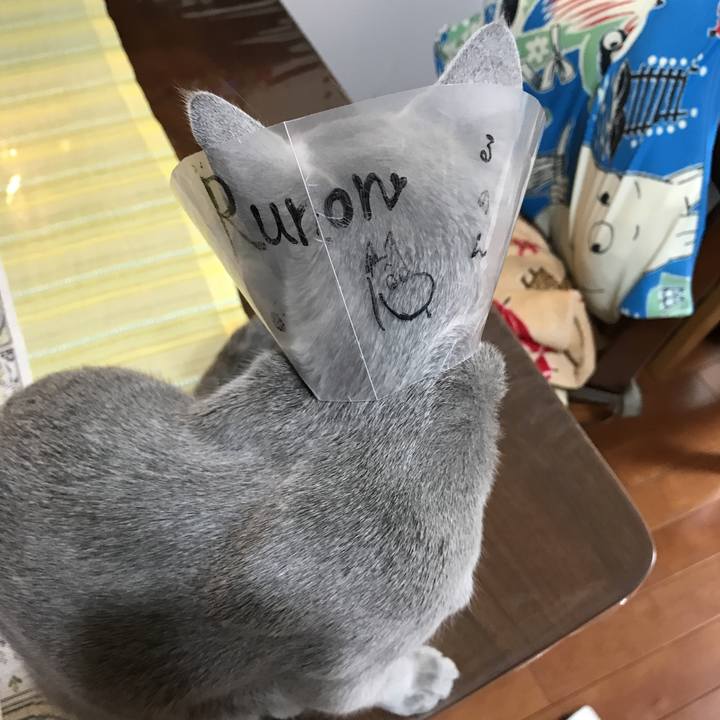 F46a56b6 4e28 4278 8951 1a5db4c7ce1f 1512995737535