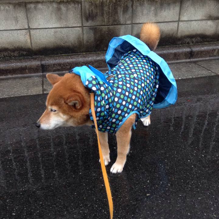 F46a7448 1439 4cfc 9090 b59590a26da2 1520496489640