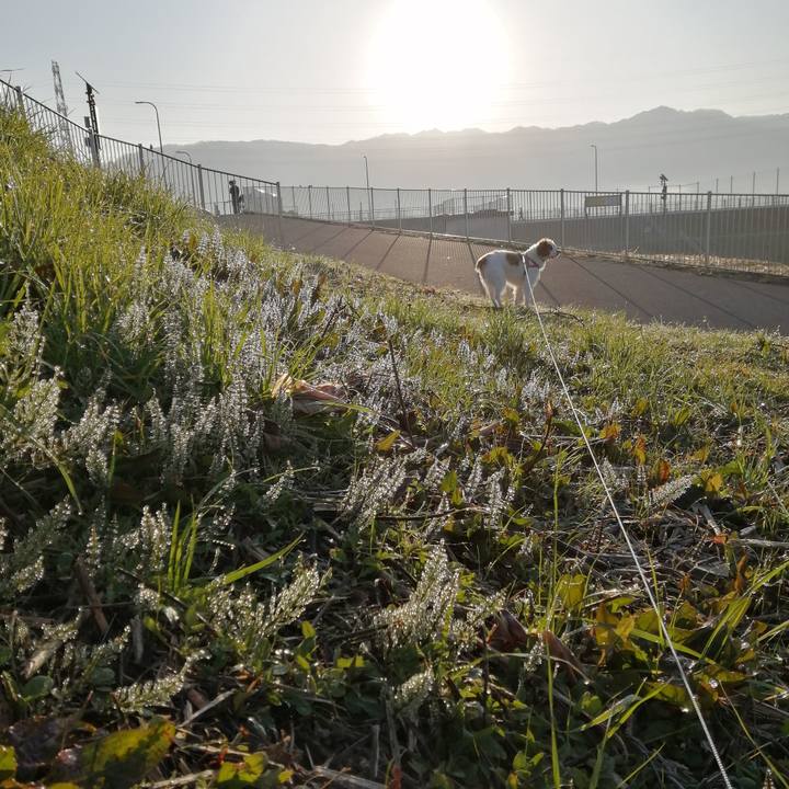 F46a9138 dca9 42d1 a31a 5d0ad0dbc668 1583713042271