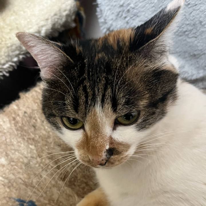 F46ab84a 0908 43f4 82d8 547c03f25346 1772784000283