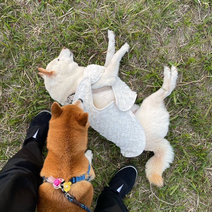 F46ac3fa eef8 4ef8 84e0 98ecb28ffde2 1648901707475