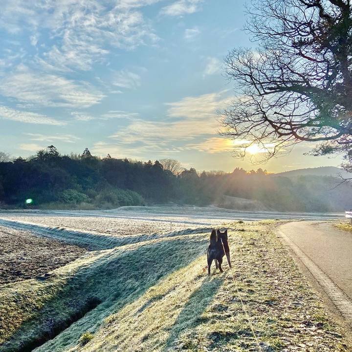 F46aeb06 b4a7 42e1 8932 773908426a66 1646779374909