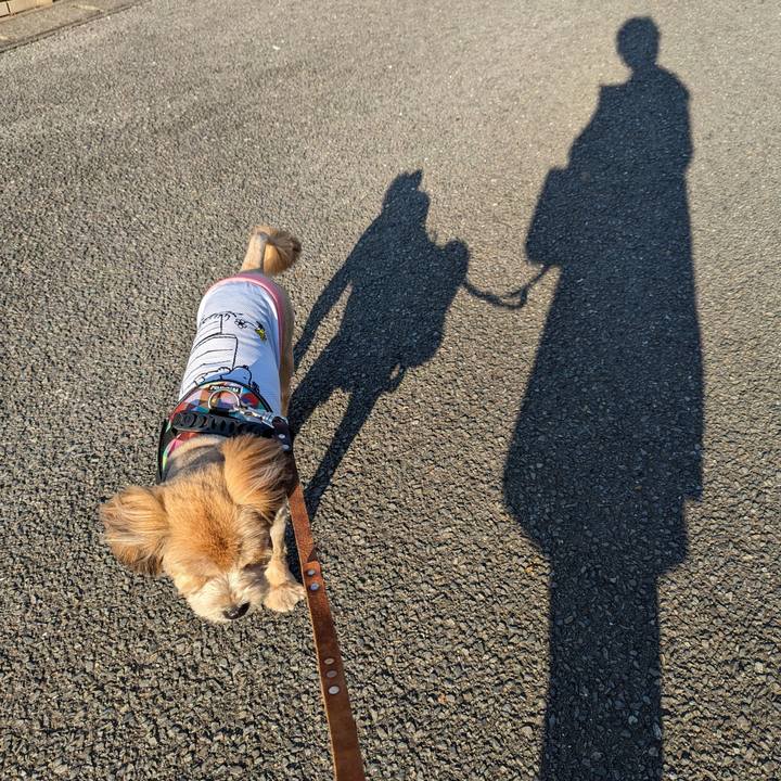 F46b0e7d aa36 47cb beb7 639abec60185 1684068693761