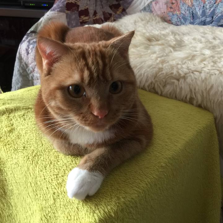 F46b11d9 0676 4b96 bc8e 3b3450a03440 1529884987342