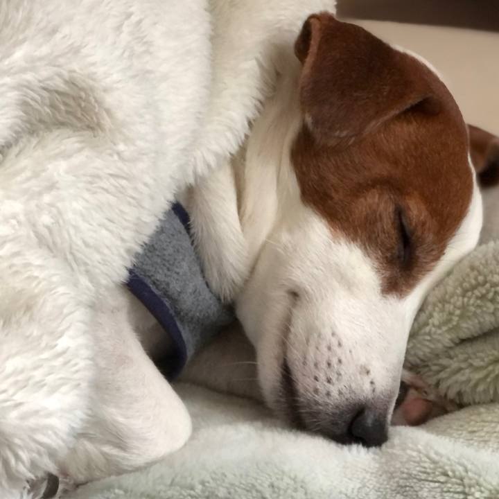 F46b2569 c1fb 43d6 97a6 a043a38ee6d4 1677211122347