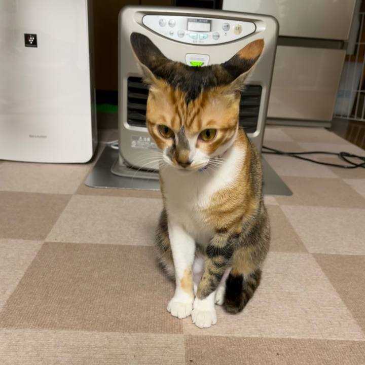 F46b5771 4e36 4bf7 b647 c324321391cc 1670366072352