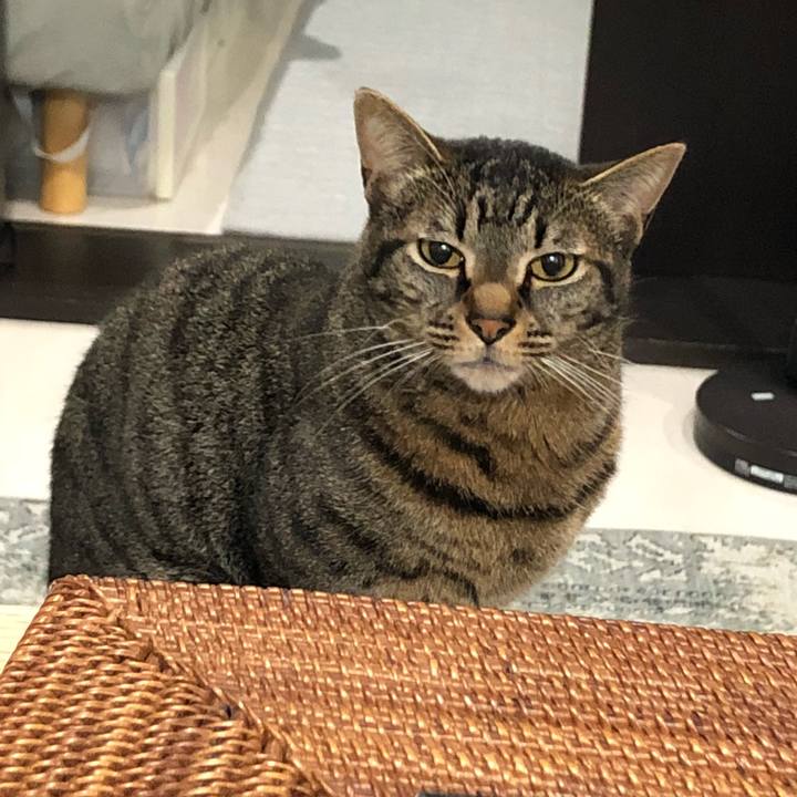 F46c283b bab0 44ea 81d3 228c631572e0 1529471226597