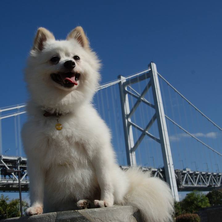 F46c61a0 e036 45cf 9df0 71803a9263d8 1551618089360