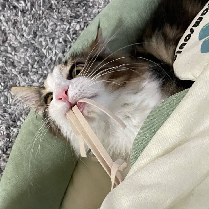 F46c6881 6332 4ae2 b229 4623e09a3be5 1634245477290