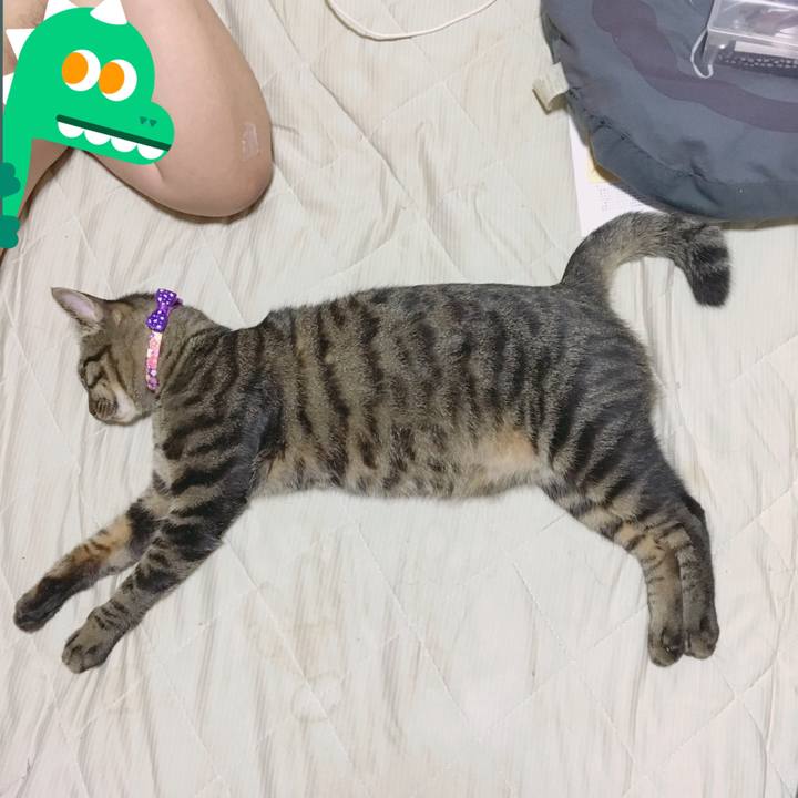 F46c8e84 9fec 4c2a a3e4 bcabd9378933 1569612439500