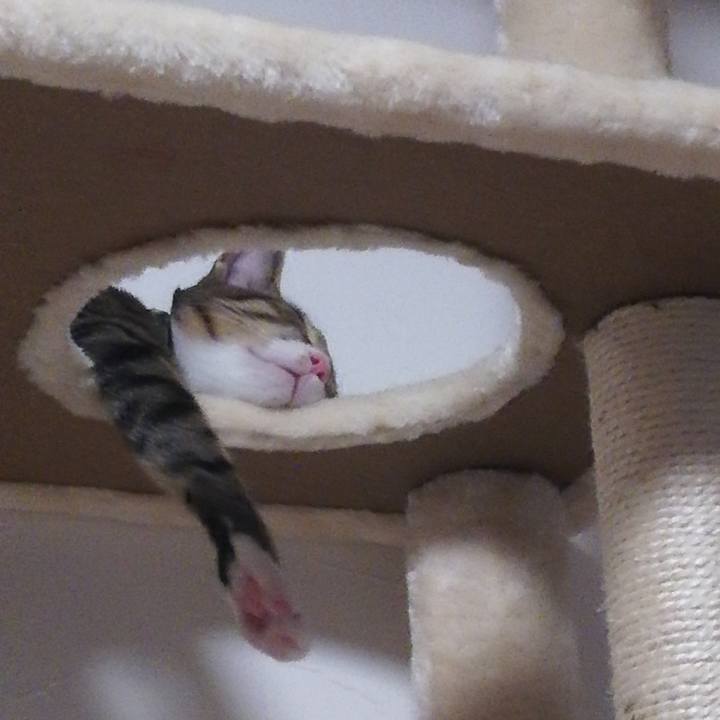 F46cc626 f50f 4e9d ad72 54718b7cec0f 1660451532193