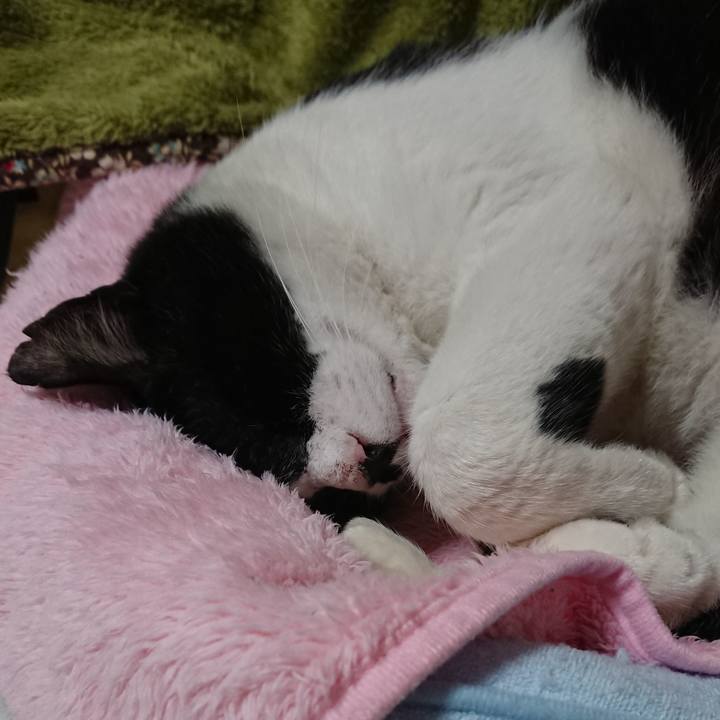 F46d13be 1fed 4096 bb04 fb7d65078a35 1538138613072