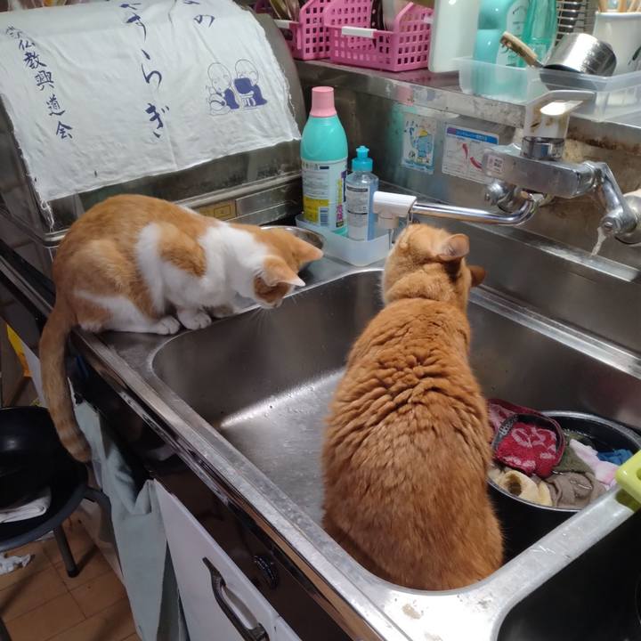 F46d40b0 dbd6 4052 bc74 b7246813ce35 1731449232118