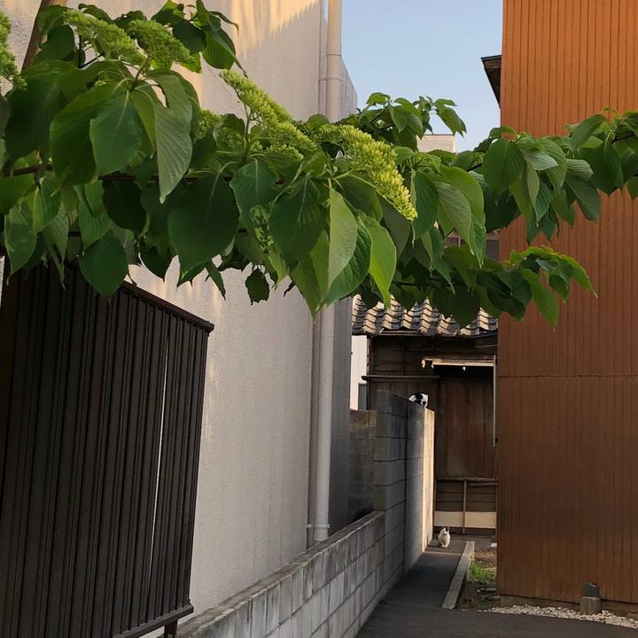 F46d5d9c 3107 46bb b1c7 d57139f884da 1523738771450