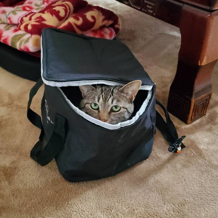 F46d7c4a e52f 44b6 bbd2 7ad88d7f8135 1713234529740