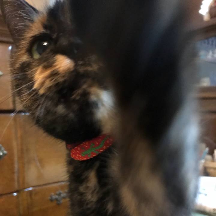 F46d8d4d 0e6f 416f 807f 7c5422568943 1511866749785