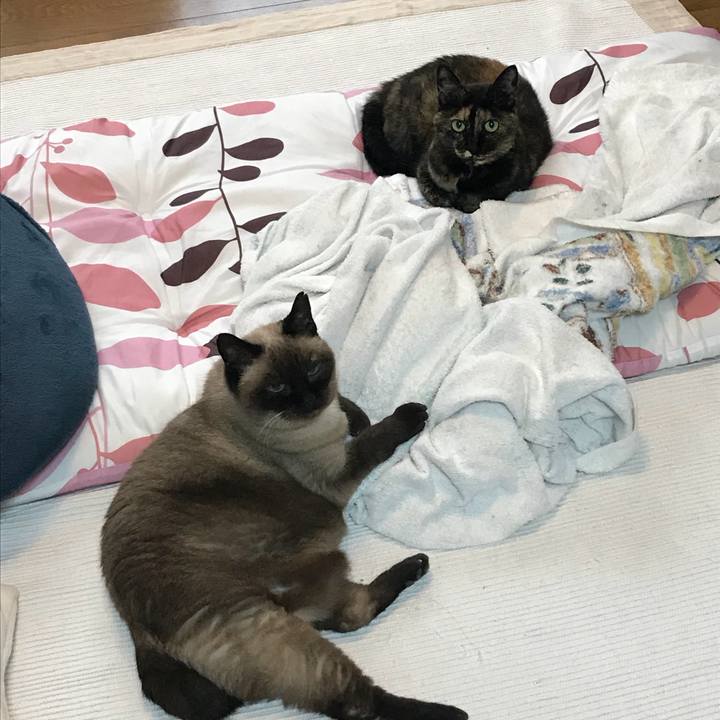 F46d9c6c dfc4 41ad 8358 e33b20519194 1533858169132