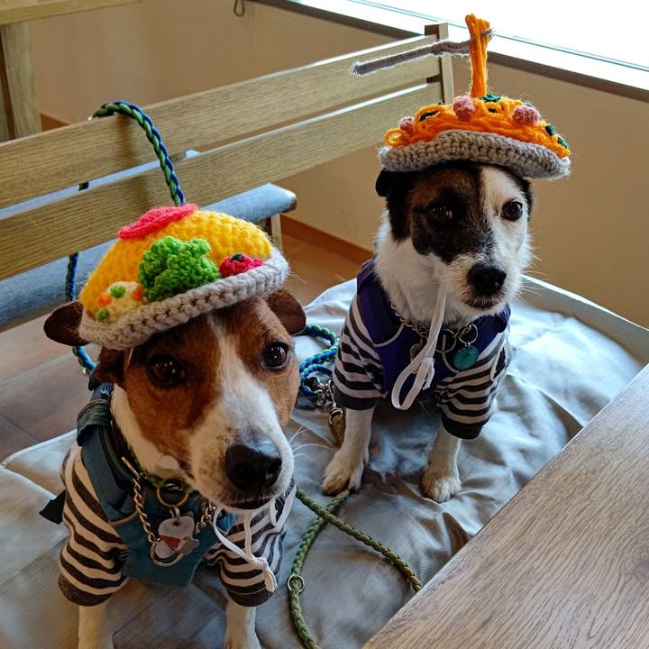 F46e0164 8514 4286 a22d 5451d5994454 1654324996837