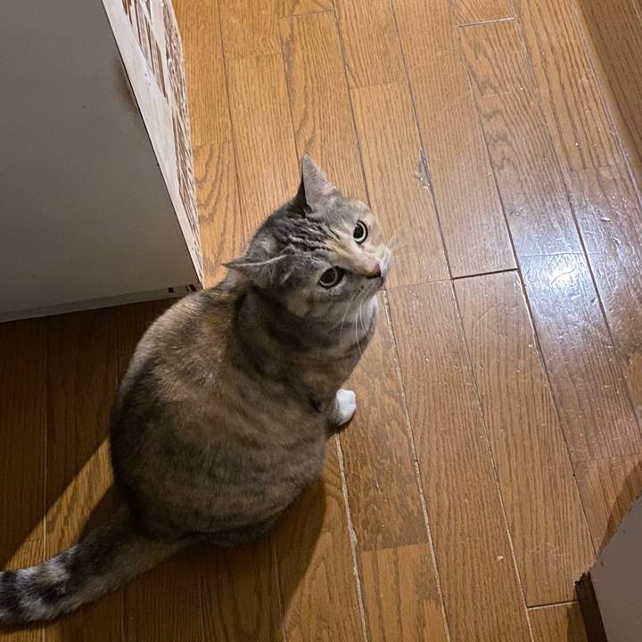 F46eb991 5e99 4107 bd0d 43f00009d4cb 1668785712135