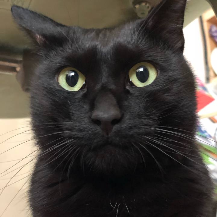 F46ee013 4c78 4234 ae23 ed60f51a06ff 1513381080501