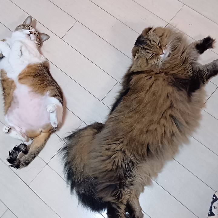 F46f07fc d8b7 4174 823f d03d63ab4b66 1769033667268