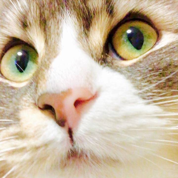 F46f291d faf7 47ca a0c8 3d65d7d2ac76 1598664500860