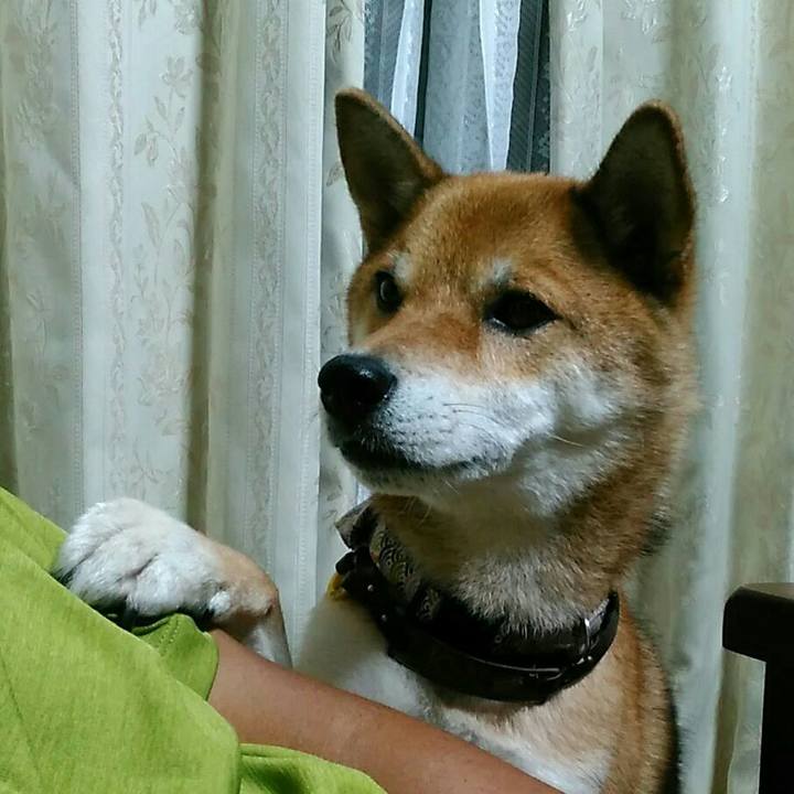 F46f3d77 3932 488e 9dba 9baeddc4619e 1536158689408