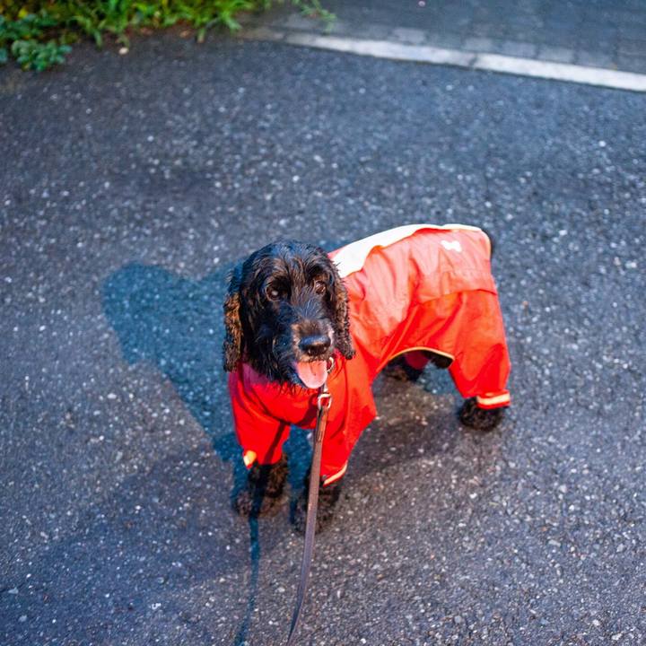 F46f514b 69ec 43d5 87c6 01a41981bcd3 1563297043559