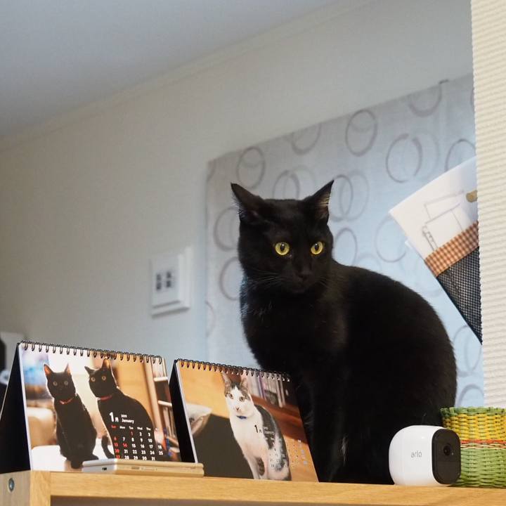 F46f5af1 a45f 442a a0b3 452740d250bf 1547163127953