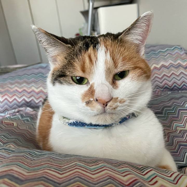 F46f5c10 4b94 4b88 bdbf ad8ddaf420a5 1706571238989