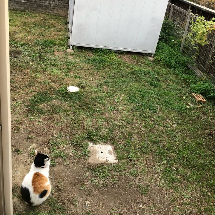 F46f75b2 e0b8 4626 b25d 93947423e435 1606775055058