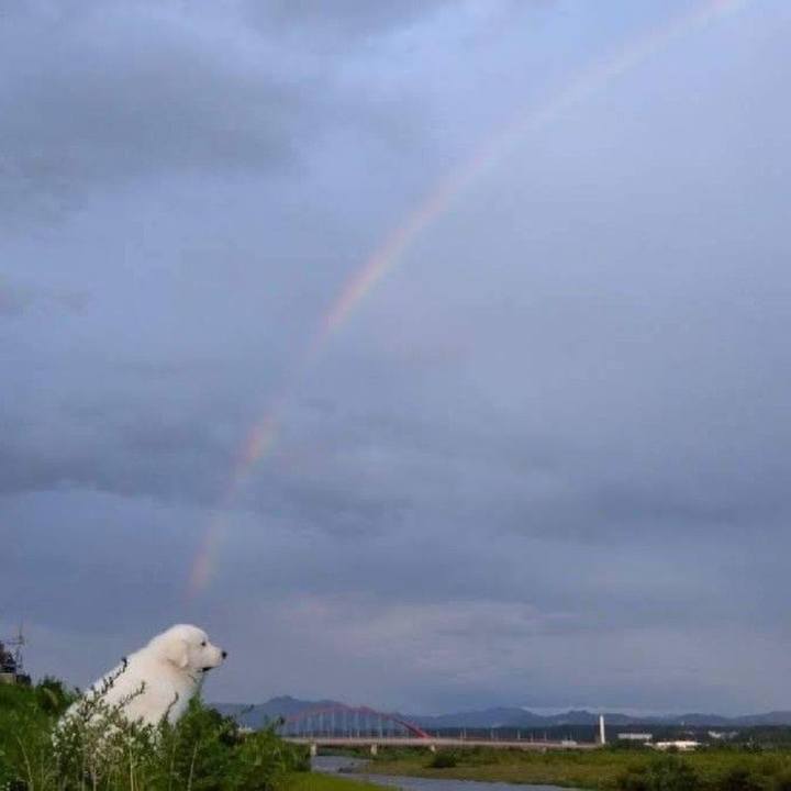 F46f9040 4ec8 4e7d b042 5c0dea5c3626 1686782355916