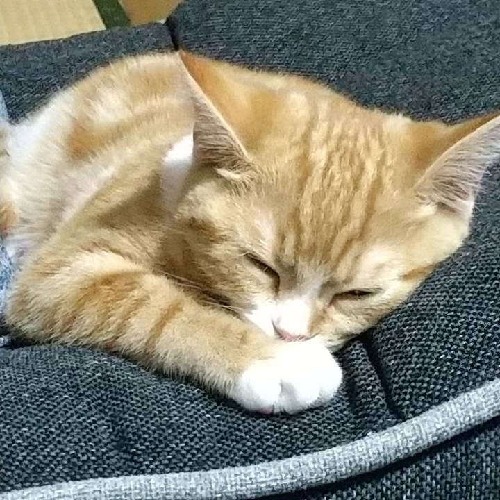 F46fbc3c c1e3 418e 82be 491f0e57f95d 1623567854774