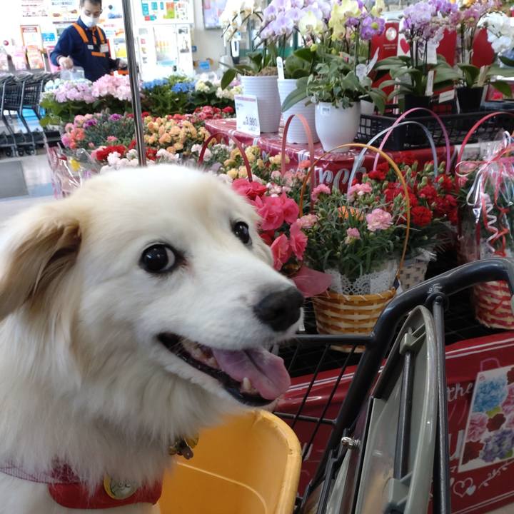 F46fceac b6f1 4dbe 97f4 b9d64e8ee981 1652162611602