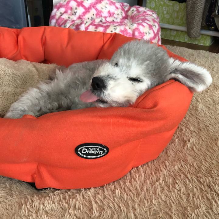 F470024d 618e 4dd4 b8ec 1f3527032a4c 1577409666580